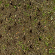 Lawn-Aeration-Services-in-Palatine-IL 0